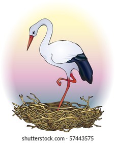 Vector Image. Elegant white stork stands in a nest at sunset