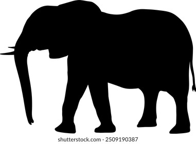 Vector image of an elephant