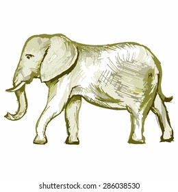 Vector image of an elephant. Big moving animals