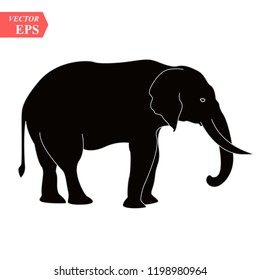 Vector image of an elephant design on white background, Vector elephant Icon for your design.