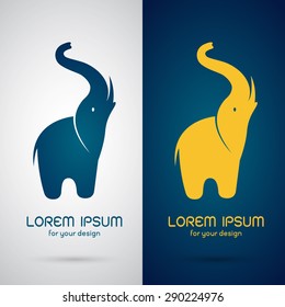 Vector image of an elephant design on white background and blue background, Vector elephant Icon for your design.