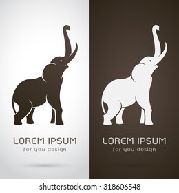 Vector image of an elephant design on white background and brown background, Vector elephant Icon for your design.