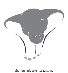 Vector image of an elephant on a white background