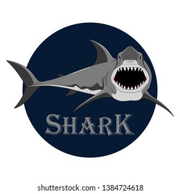 Vector image of an evil shark. Shark with open mouth.