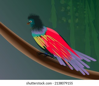 Vektorbild eines exotischen Vogels auf grünem Hintergrund