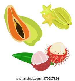 Vector image of exotic fruits -  lychee, carambola, rambutan, papai