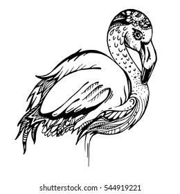 Vector image of an exotic pink flamingos. Line drawing of wild tropical birds isolated. Africa, reserve, zoo animal. Printing on T-shirts, souvenirs, books, fabrics.  Monochrome.