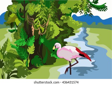 Vector image of the exotic shores of the ocean and the wild 
jungle