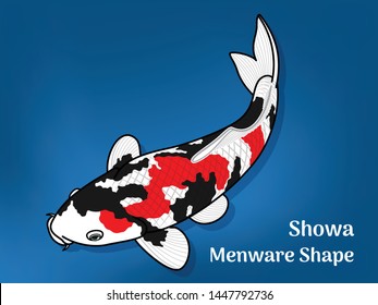 Vector image of Fancy carp or "koi" varieties are distinguished by coloration, patterning. This's Varieties are called "Showa Menware Shape". Illustration for children's learning