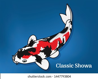 Vector image of Fancy carp or "koi" varieties are distinguished by coloration, patterning. This's Varieties are called "Classic Showa". Illustration for children's learning