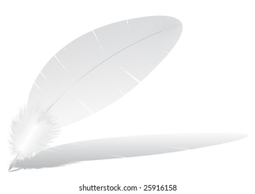 Vector image of a feather