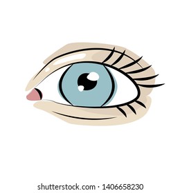 vector image of a female blue eye isolated on a white background. the eye icon