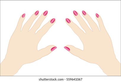 vector image of female hands with nail Manicure