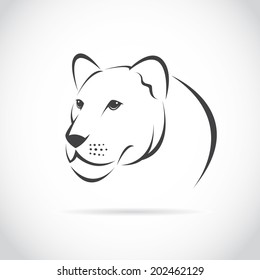 Vector Image Of An Female Lion Head On White Background