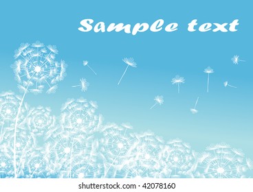 Vector image of field of dandelions