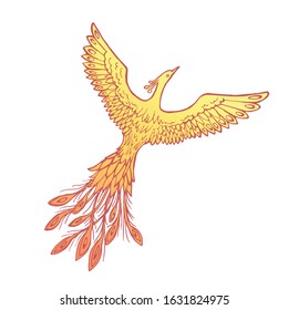 Vector image of a fiery flaming firebird (phoenix) on a white background.