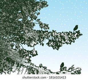 Vector image of fir branches in winter forest on snowy day
