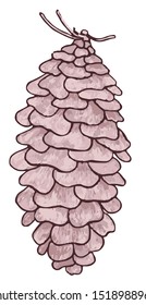vector image of a fir cone
