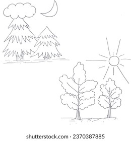vector image of fir trees and trees time change day and night sun moon clouds