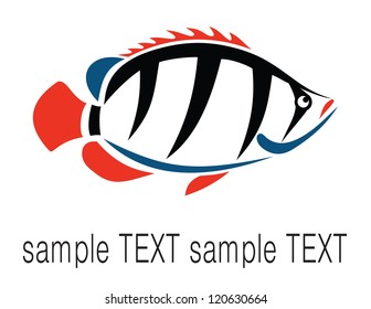 Vector image of an fish