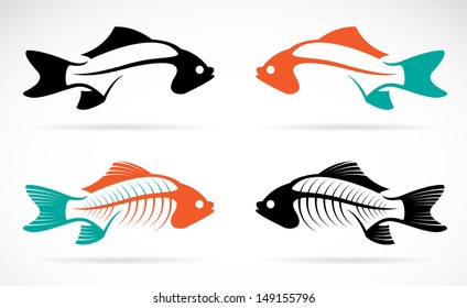 Vector image of an fish bones on white background 