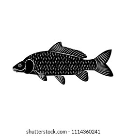 Vector image of fish carp silhouette