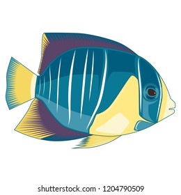Vector image of fish on a white background.