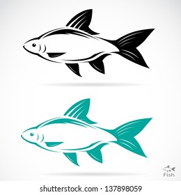 Vector image of an fish on white background