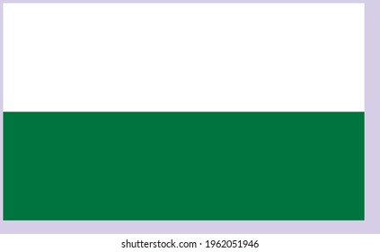 Vector image flag of Free State of Saxony