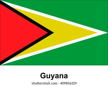 National Flag Guyana Correct Proportions Element Stock Vector Royalty