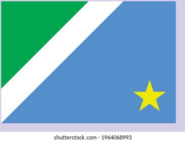 Vector image flag of Mato Grosso do Sul in Brazil