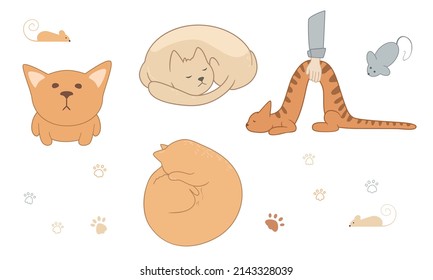 Vector image of flat, isolated cats on a white background. Cats and kittens lie, play, spin the ball, cutely pull themselves up, hide in a basket. The illustration has animals, fish, cat paws, food