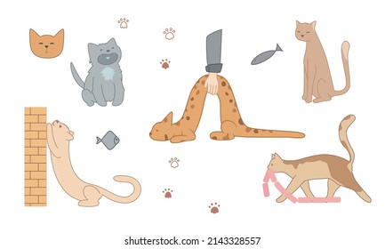 Vector image of flat, isolated cats on a white background. Cats and kittens lie, play, spin the ball, cutely pull themselves up, hide in a basket. The illustration has animals, fish, cat paws, food