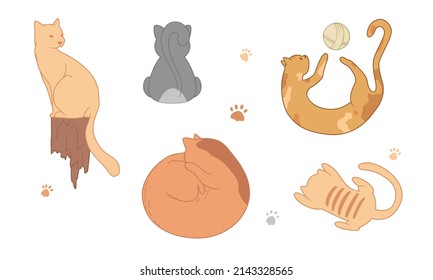 Vector image of flat, isolated cats on a white background. Cats and kittens lie, play, spin the ball, cutely pull themselves up, hide in a basket. The illustration has animals, fish, cat paws, food