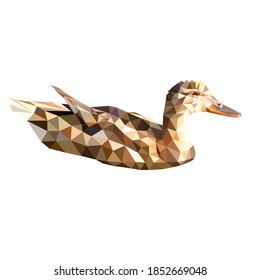 vector image floating duck. polygonal bird Low Poly