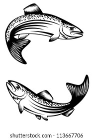 Vector image of floating fish trout