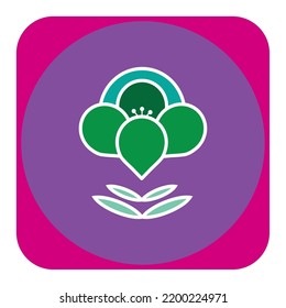 vector image, flower icon of different colors with purple background