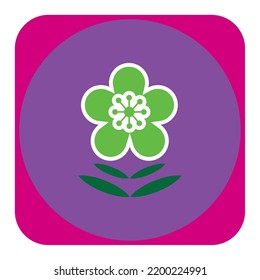 vector image, flower icon of different colors with purple background