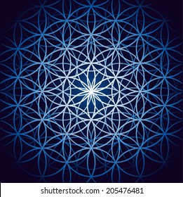 Vector image / Flower of life 