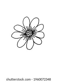 vector image of a flower on a white background. Herbs and Plants. Doodles. Decoration for cards and invitations