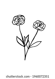 vector image of a flower on a white background. Herbs and Plants. Doodles. Decoration for cards and invitations