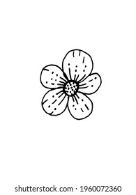 vector image of a flower on a white background. Herbs and Plants. Doodles. Decoration for cards and invitations