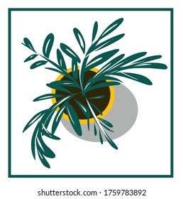Vektorbild eines Blumentopf, grüne Pflanze auf weißem und farbigem Hintergrund. Bilder für ein Set mit Desktop-Accessoires, Laptop, Notebook.