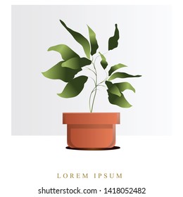 Vector image of flowers, plants in pots for registration of posts in social networks