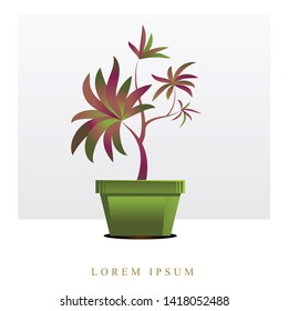 Vector image of flowers, plants in pots for registration of posts in social networks