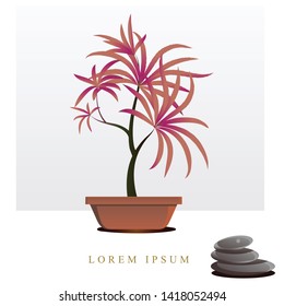 Vector image of flowers, plants in pots for registration of posts in social networks