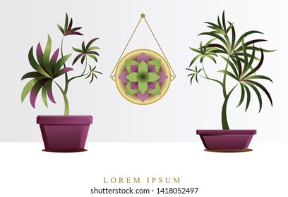 Vector image of flowers, plants in pots for registration of posts in social networks