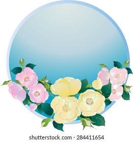 Vector image of flowers of wild rose