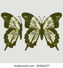 Vector image of a flying butterfly