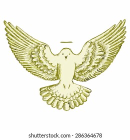 Vector image of a flying dove. Religious bird